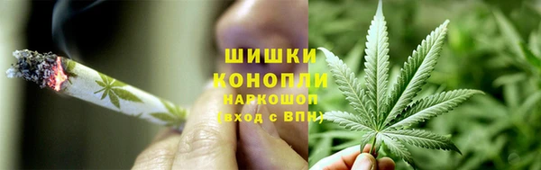 ешки Алзамай
