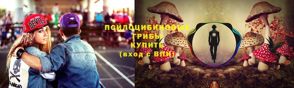 ешки Алзамай