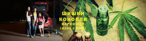 ешки Алзамай