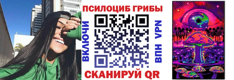 купить  цена  Александровское  Галлюциногенные грибы MAGIC MUSHROOMS 